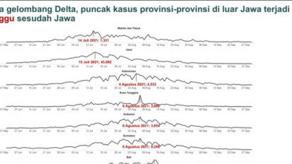 Kasus Harian Covid-19 di Jawa-Bali Turun Dibandingkan Puncak Delta