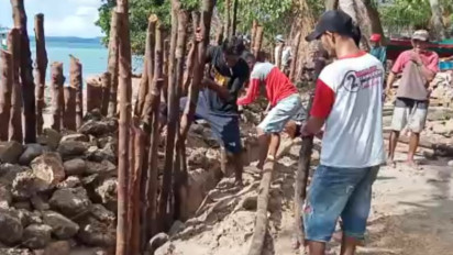 Terancam Air Laut, Warga Pulau Kalaotoa Selayar Bangun Tanggul Darurat dari Batang Kayu dan Batu