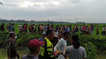 Kerap Merusak Tanaman Padi, Ratusan Petani Cilacap Berburu Hama Tikus