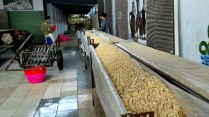 Kedelai Mahal, Produksi Tahu dan Tempe di Blitar Berjalan Normal