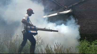 Wabah DBD di Kudus Terus Meningkat, Mencapai 392 Kasus