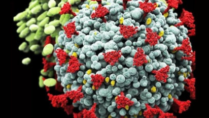 Eropa Tidak Lagi Kategorikan Varian Alfa Sebagai Daftar Perhatian