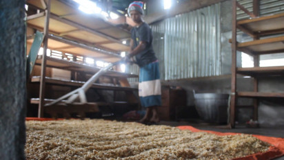 Harga Kedelai Melejit, Produsen Tahu Tempe di Kolaka Utara Menjerit