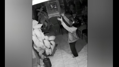 Tiga Ekor Burung Kicau Raib Dicuri, Aksi Pelaku Terekam CCTV