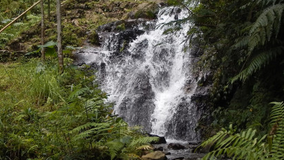 Curug Corong, Air Terjun Bening di Hutan Gunung Ungaran