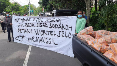 Harga Jatuh, Petani Boyolali Terpaksa Jual Wortel Bayar Seikhlasnya