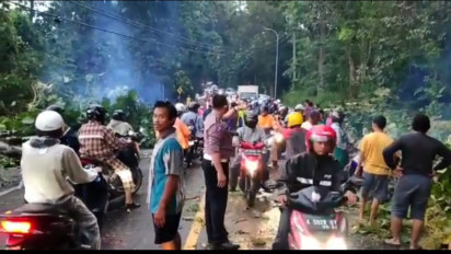 Hujan dan Angin Kencang Tumbangkan Pohon Jati, Jalur Blora-Cepu Macet