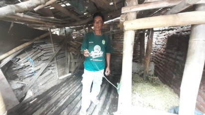 Waspada Warga Probolinggo! Ada Kawanan Maling Incar Sapi Peliharaan Penduduk