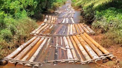 Tim Ahli Dishut Pastikan Kayu Log dan Olahan yang Diamankan Ditpolarud Polda Kalteng Berasal dari Hutan Kotim