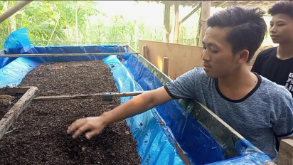 Pemuda Asal Rembang, Raup Jutaan Rupiah per Bulan dari Budi Daya Maggot
