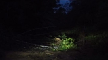 Longsor,  Lalu Lintas di Simpang Empat Menuju Talu Pasaman Barat Terputus Total