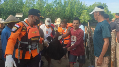 Pemuda di Muna Tewas Diterkam Buaya, Kondisi Tubuh Sudah Tak Utuh Lagi
