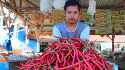 Harga Cabai Merah Naik 300 Persen di Blangpidie