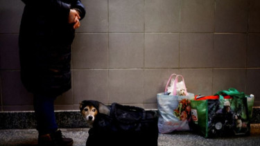 UNHCR: Satu Juta Orang Tinggalkan Ukraina