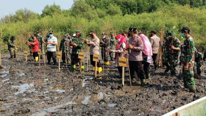 Cegah Abrasi, 3 Ribu Bibit Mangrove Ditanam di Pantai Darmo Banjarsari