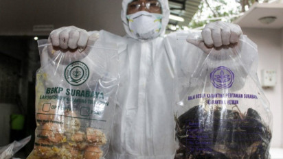 Balai Karantina Pertanian Medan Periksa Burung Dari Afrika Selatan