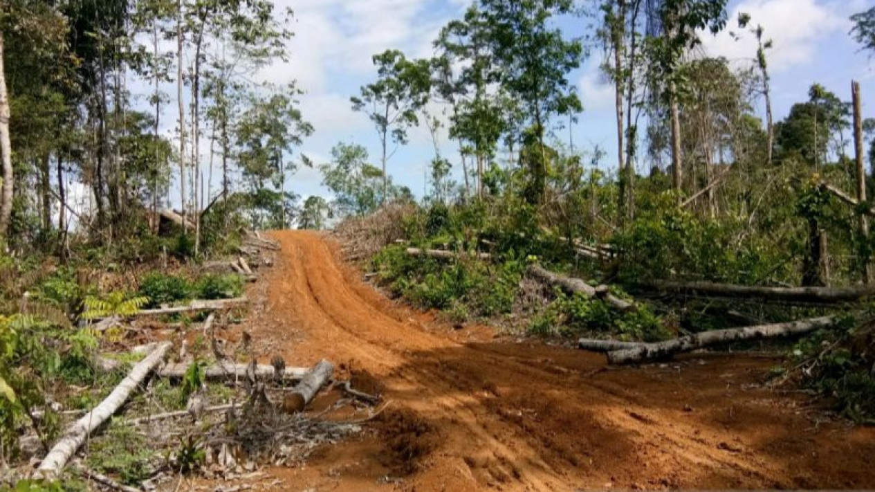 Polda Bengkulu Masih Selidiki Informasi Jual Beli Hutan Habitat Gajah Sumatera
            - galeri foto