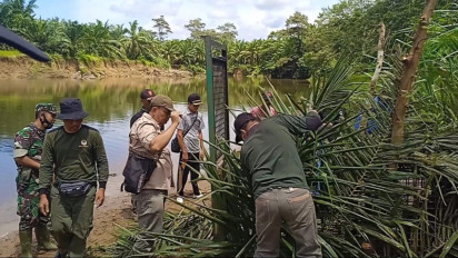 BKSDA Pasang Perangkap Buaya Di Sungai Selagan Mukomuko