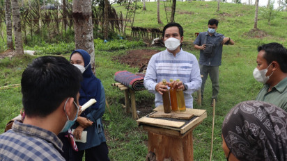 Melirik Potensi Budidaya Madu Trigonal Kaya Manfaat