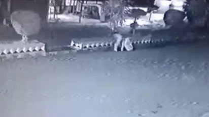 Kabel Lampu Jalan di Lampung Sepanjang 100 Meter Dicuri