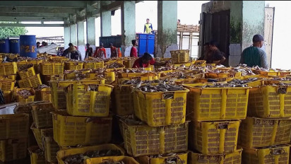 Nelayan Sulit Urus Izin Melaut, Harga Ikan di Rembang Naik