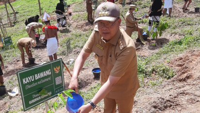 Bengkulu Sumbangkan Bibit Kayu Bawang di Titik Nol IKN