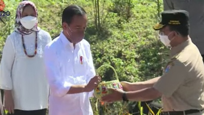 Tanah Akuarium Dibawa ke IKN, Wagub DKI: Jangan Dipermasalahkan