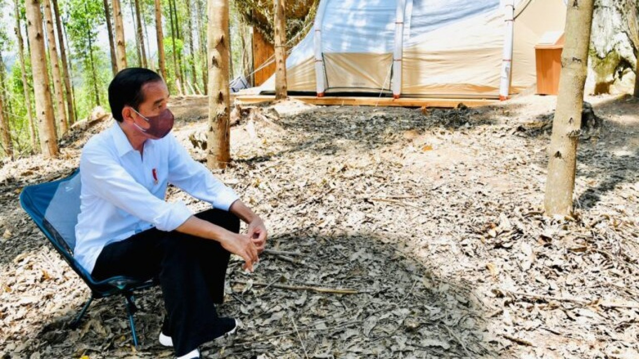Foto-Foto Presiden Jokowi di Tempat Kemahnya di IKN
            - galeri foto