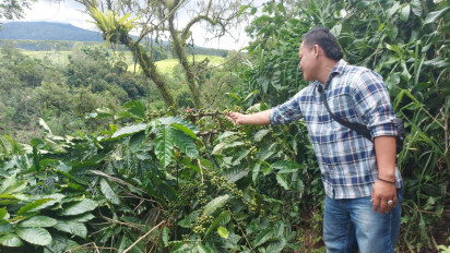 Mencoba Kopi Bengkulu, Cita Rasa Buah hingga Pedas