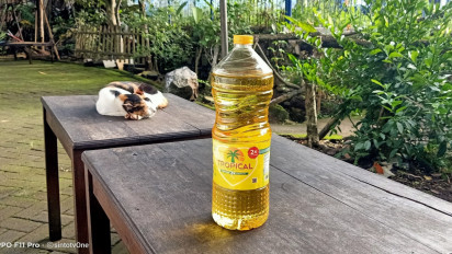 Tolong Pak Jokowi, Harga Minyak Goreng di Jember Tembus Rp48 ribu