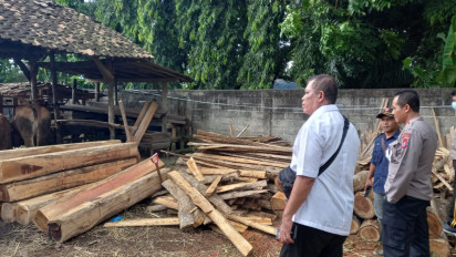 Timbun Kayu Jati Curian, Pria di Banyuwangi Dicokok Polisi