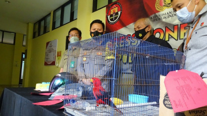 Mau COD Satwa Dilindungi, Seorang Pemuda di Wonosobo Ditangkap Polisi