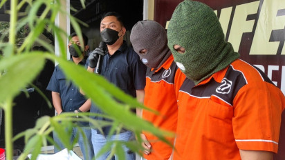 Belajar Cara Menanam Ganja Lewat Youtube, Pemuda di Surabaya Ditangkap