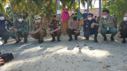 Ratusan Tukik Penyu Hijau di Lepas Liarkan dari Pantai Pulau Tarupa Takabonerate Selayar