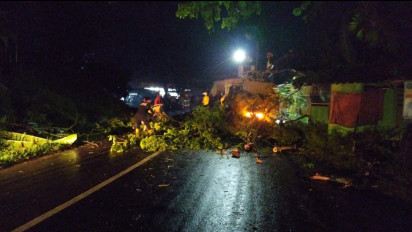 Hujan Deras dan Angin Kencang, Dua Pohon Tumbang Tutup Akses Jalan di Banjar