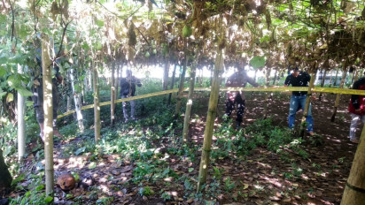 Diduga Depresi Karena Beban Pernikahan, Calon Pengantin Pria Tewas Gantung Diri di Bali