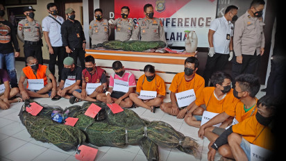 Tanam Ganja di Sela Kebun Cabai, Seorang Petani Ditangkap