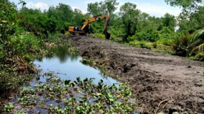 Garap Lahan Konservasi Mangrove, Warga Bengkulu Ditahan Polisi