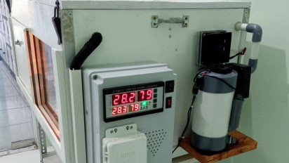 Dosen Unair Ciptakan Inkubator Buatan Penetasan Penyu