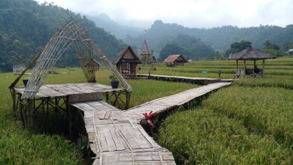Agrowisata Mina Padi di Kendal, Jalan-Jalan Sambil Mengedukasi Anak