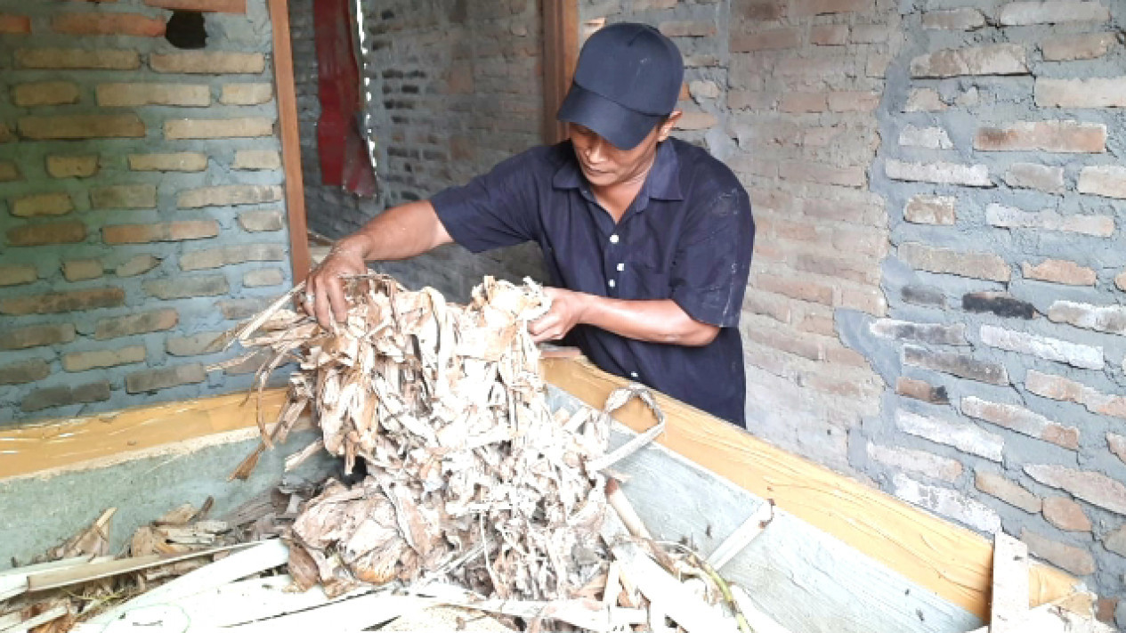 Raup Untung Jutaan Rupiah dari Usaha Budidaya Jangkrik
            - galeri foto