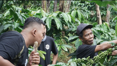 Open Trip Kebun Kopi, Daya Tarik Wisata Edukasi Baru di Batang Jawa Tengah