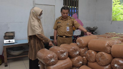 Gula Semut Asal Wonosobo Tembus Pasar Kanada dan India