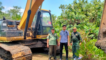 Terkuak! Penggarap Lahan Konservasi Mangrove Gunakan Alat Berat BB Ditreskrimum