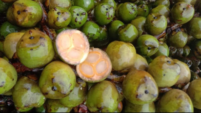 Jelang Ramadhan, Perajin Kolang-kaling di Banyumas Tambah Stok