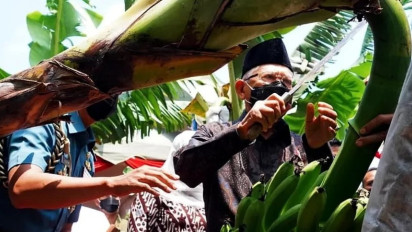 Viral Presiden Jokowi 3 Periode, Wapres Ma'ruf Amin Malah Bilang: Cukup 2 Pisang
