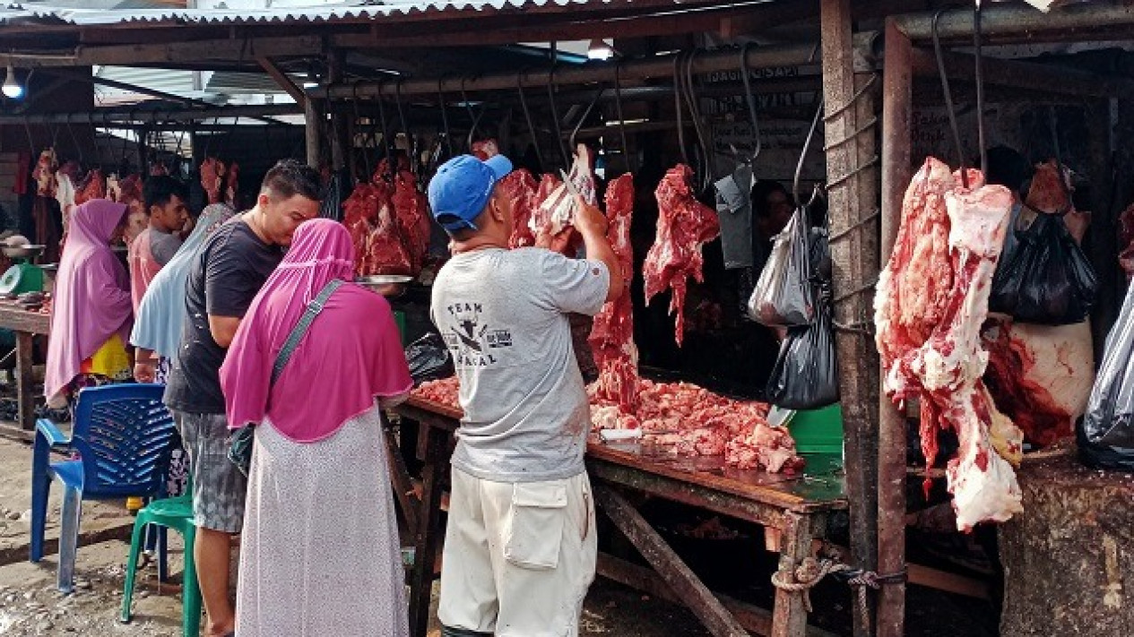 Rekor, Jelang Puasa Harga Daging di Mandailing Natal Tembus Rp 160 Ribu per Kilogram
            - galeri foto