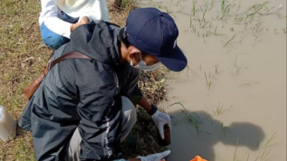 Dinas Lingkungan Hidup Banyumas Ambil Sampel Air Sungai Serayu Setelah Ribuan Ikan Ditemukan Mati