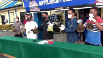 Jual 154 Ekor Hewan Dilindungi Belangkas ke Luar Negeri Polisi Amankan Nelayan