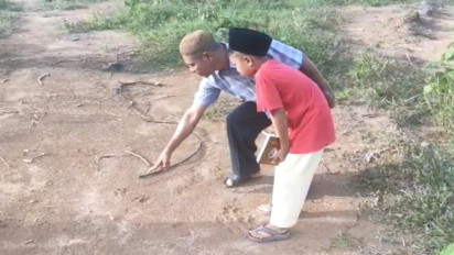 Geger Penemuan Jejak Kaki Harimau, Warga Batanghari Ketakutan Pergi ke Kebun